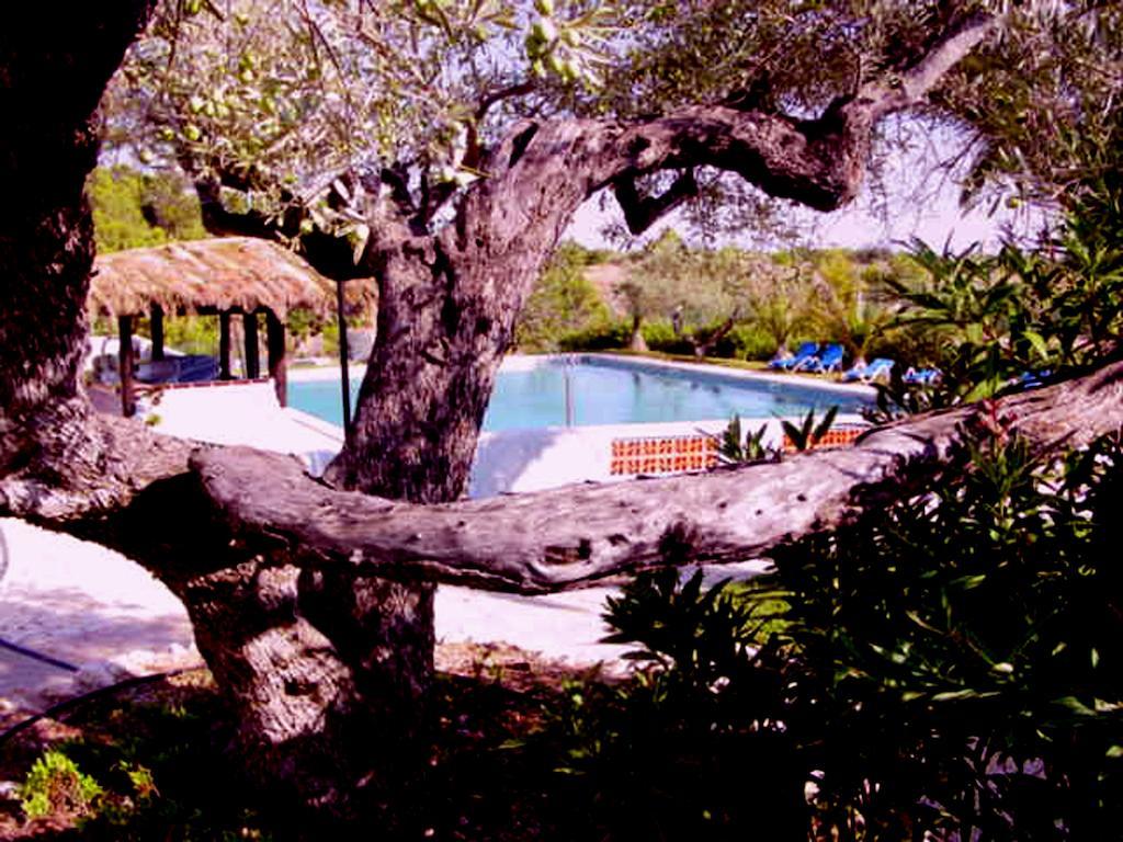 The Sea Garden Hotel L'Ampolla Exterior foto